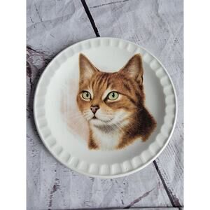 Vintage HOFFRITZ Porcelain Plate Tabby Cat Royal FalconWare Weatherby England
